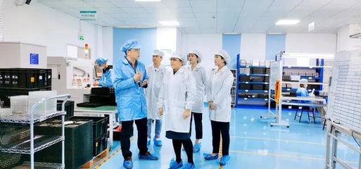 攜手共進，共創未來——深圳擔保集團蒞臨云里物里考察指導軟件開發工作
